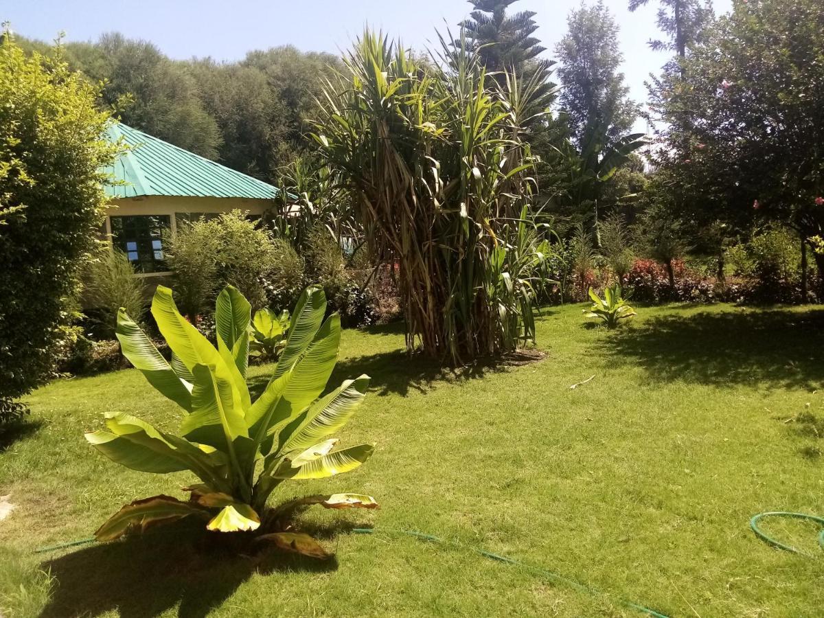 Homebase Gardens Nakuru Exteriör bild