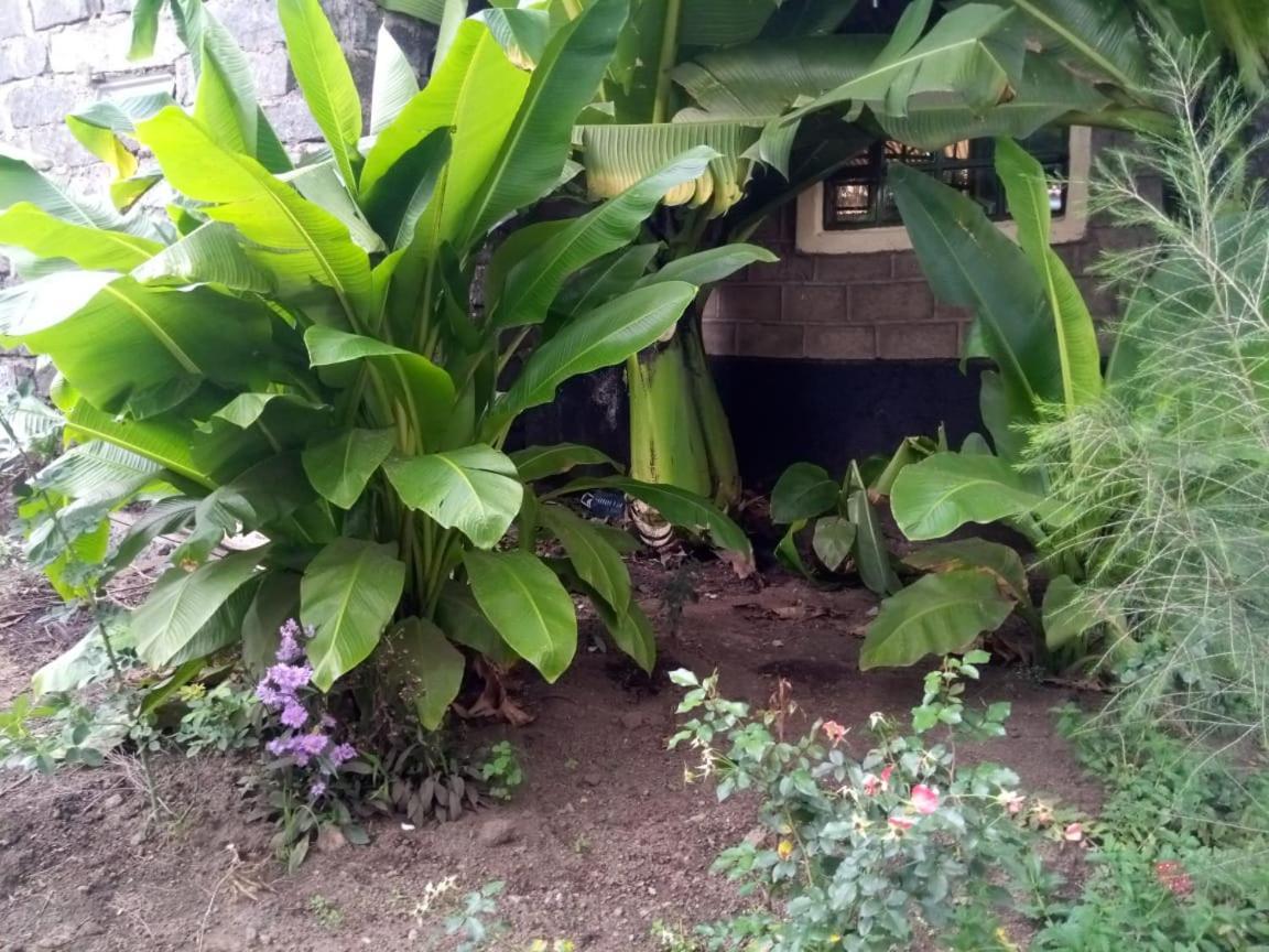 Homebase Gardens Nakuru Exteriör bild